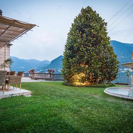 Joy On The Moltrasio