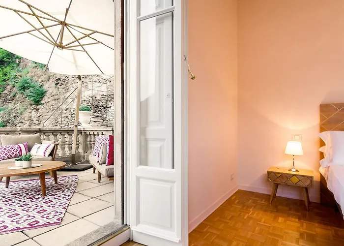 Joy On The فيلة مولترازْيو