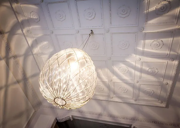 Joy On The فيلة مولترازْيو