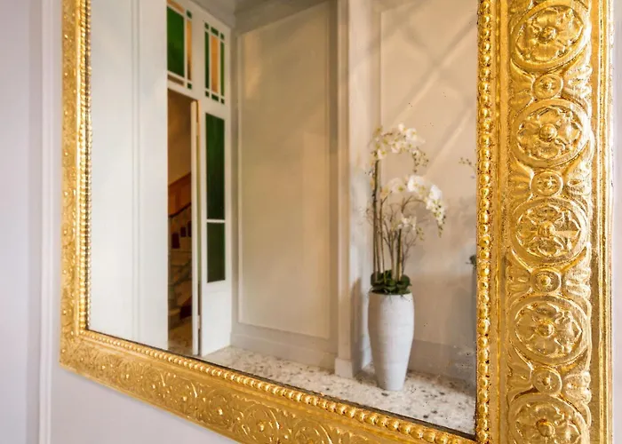 Joy On The فيلة مولترازْيو