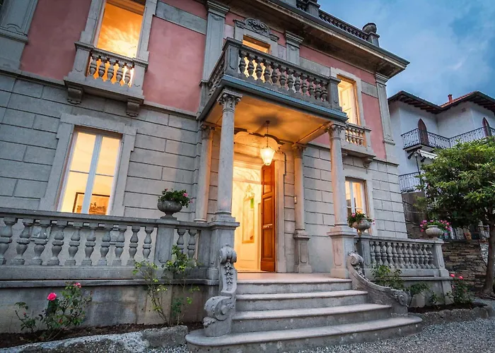 Joy On The فيلة *