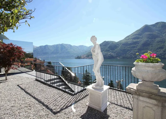 فيلة Joy On The *